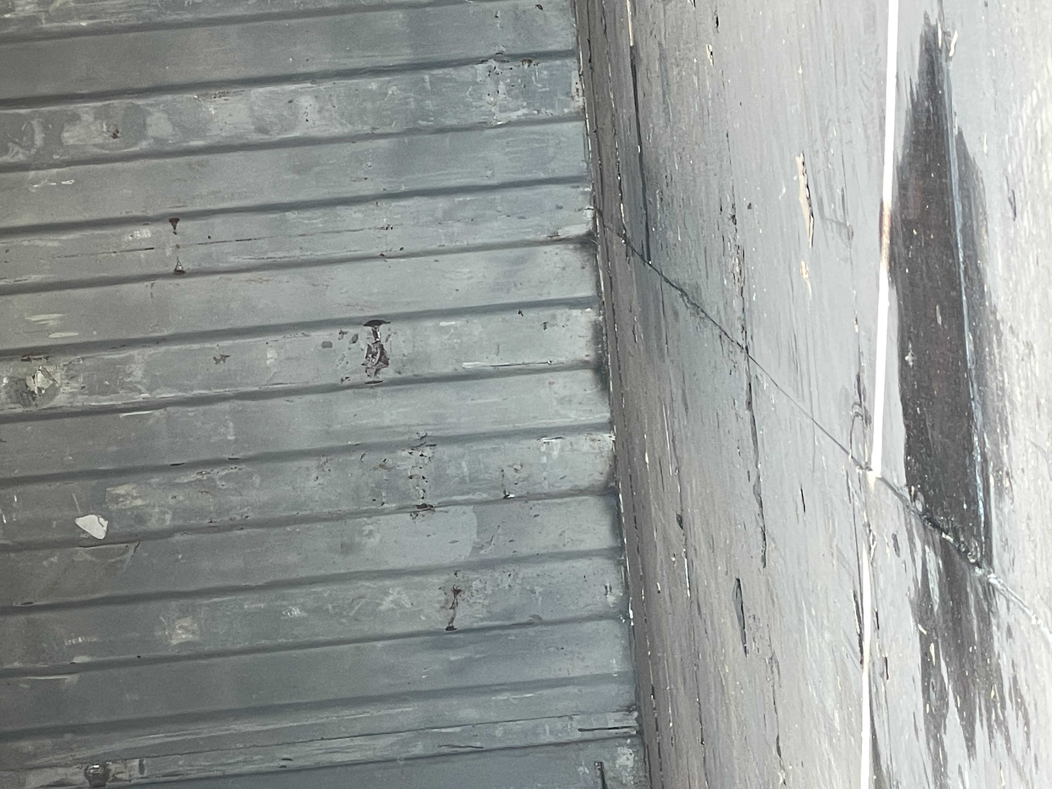 Морской контейнер TEMU2320689