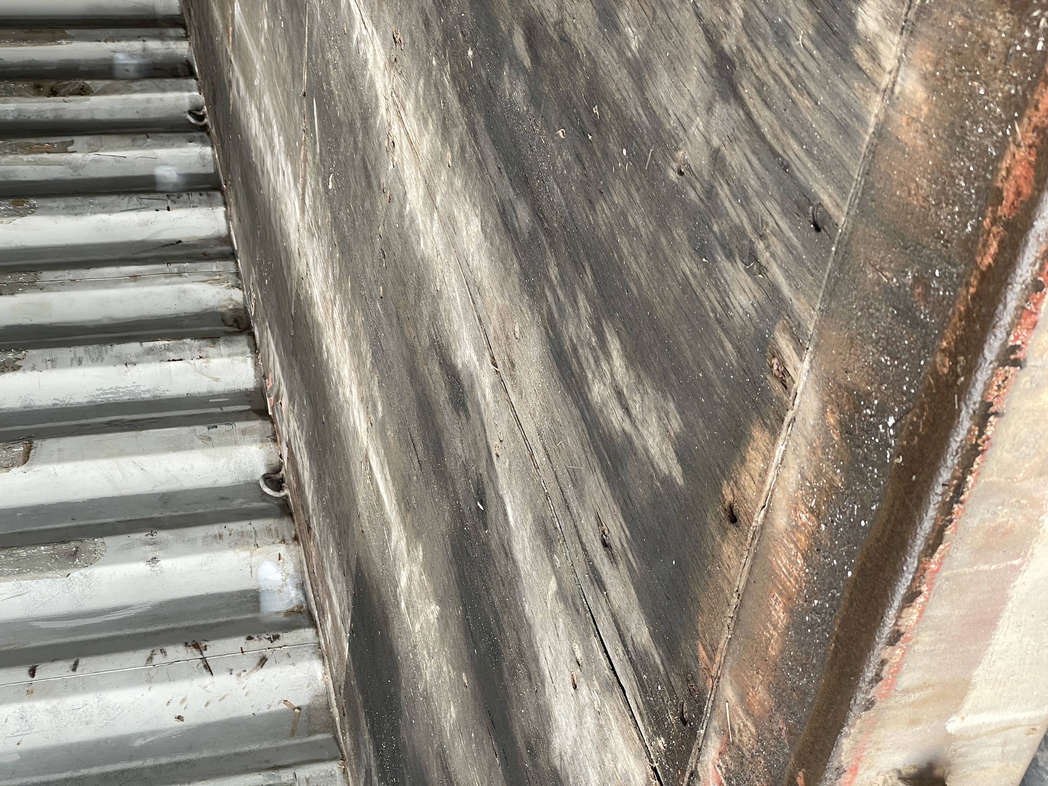 Морской контейнер TEMU2466354