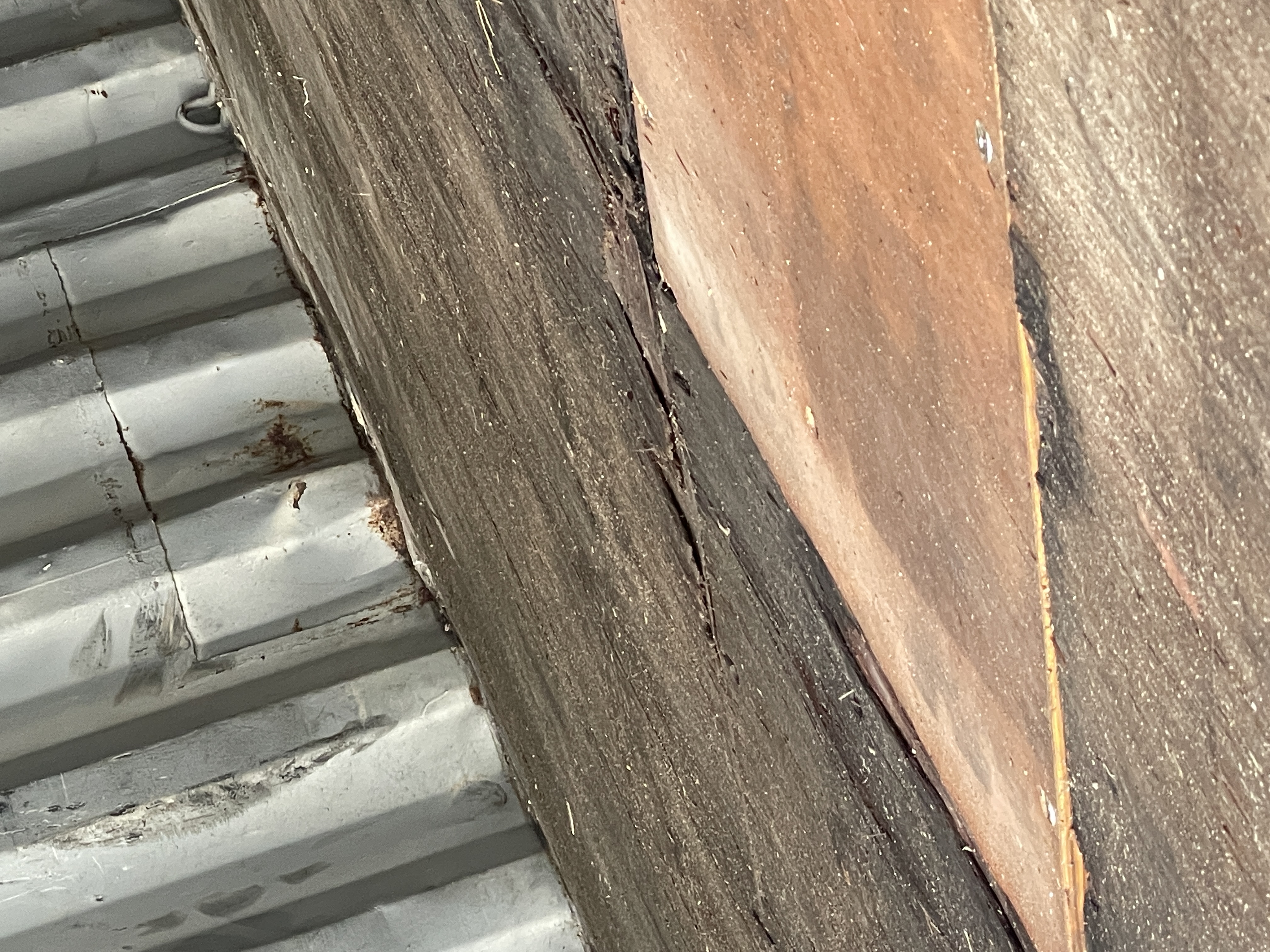 Морской контейнер TEMU2669578