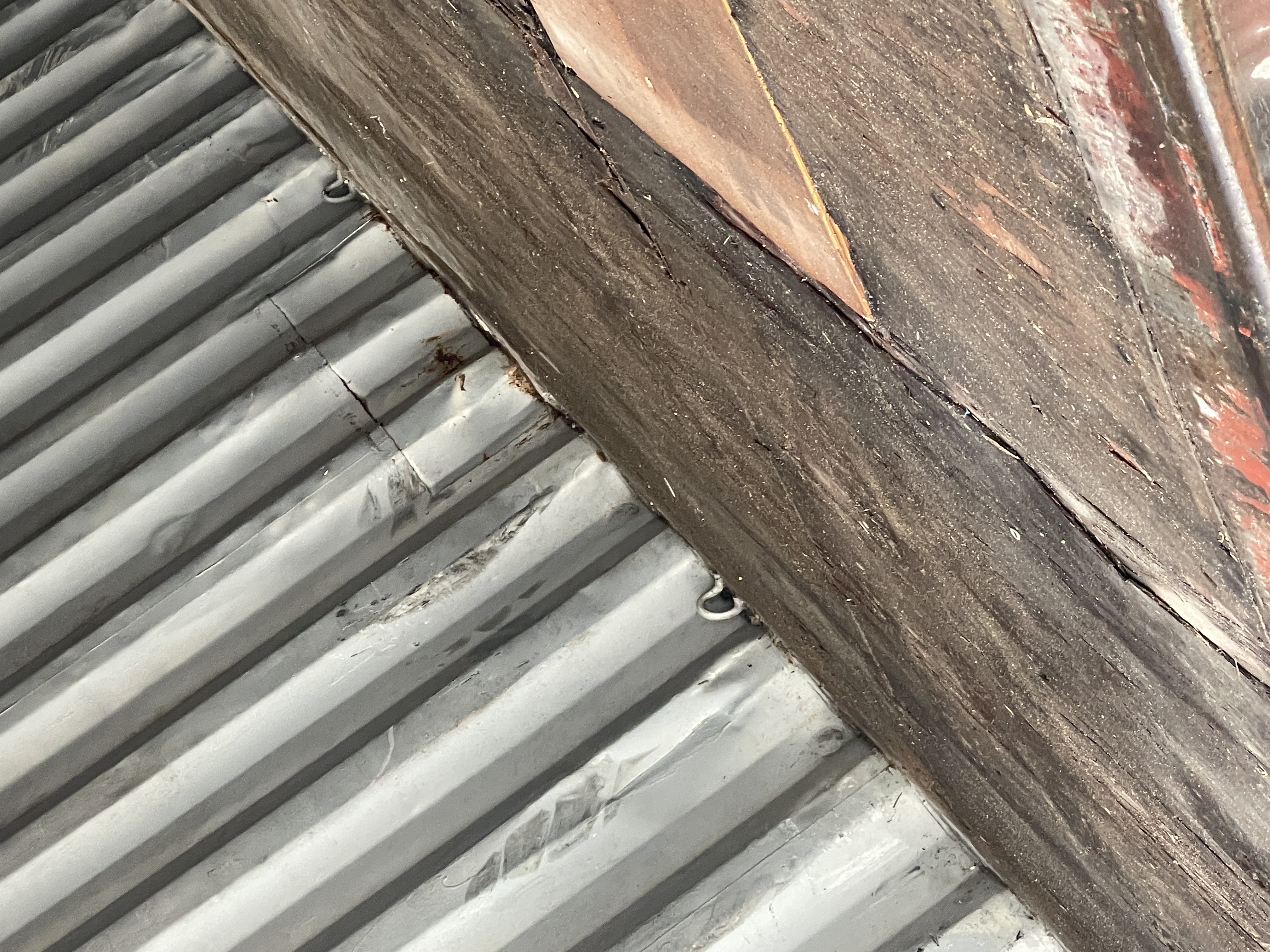 Морской контейнер TEMU2669578