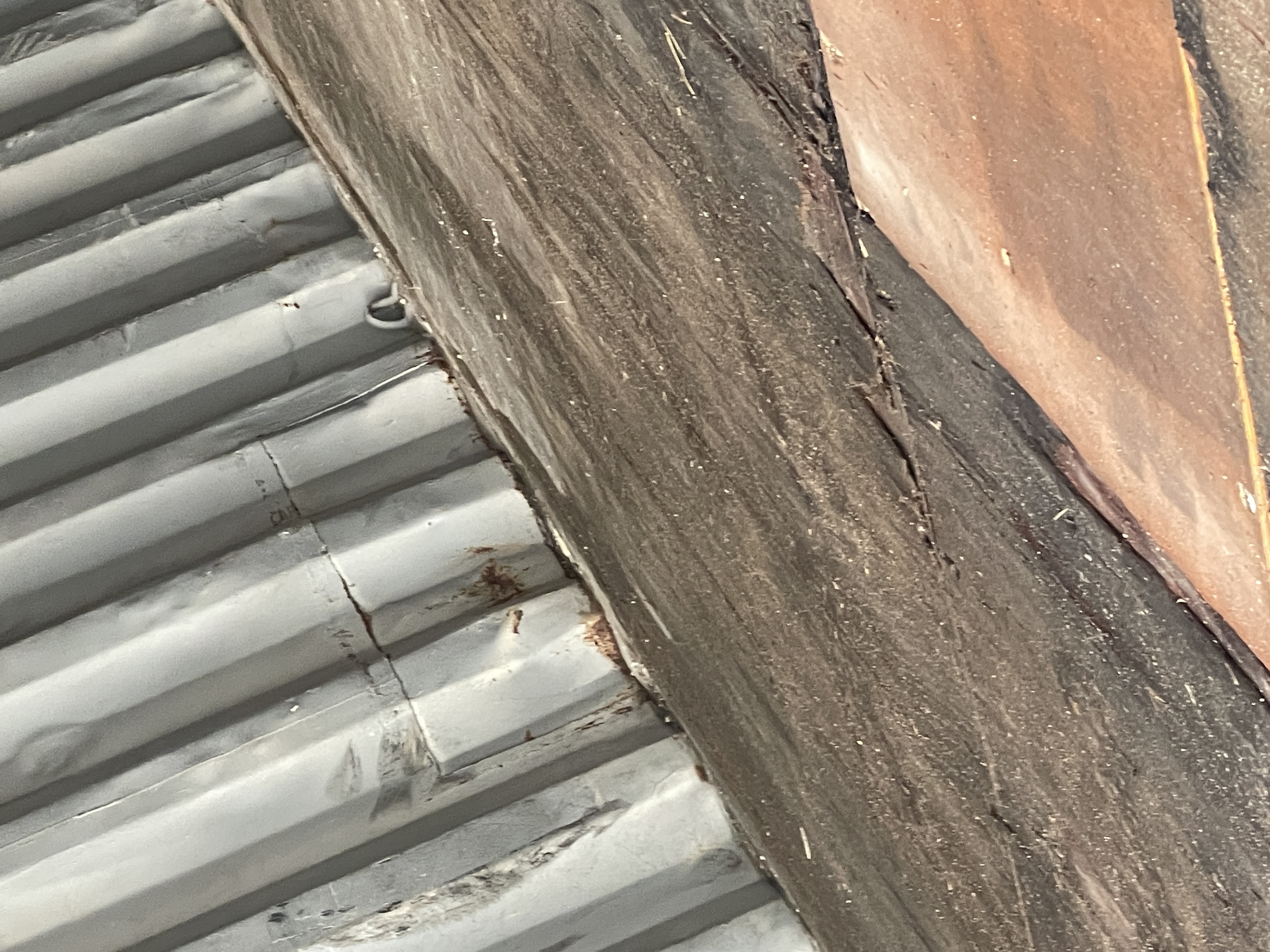 Морской контейнер TEMU2669578