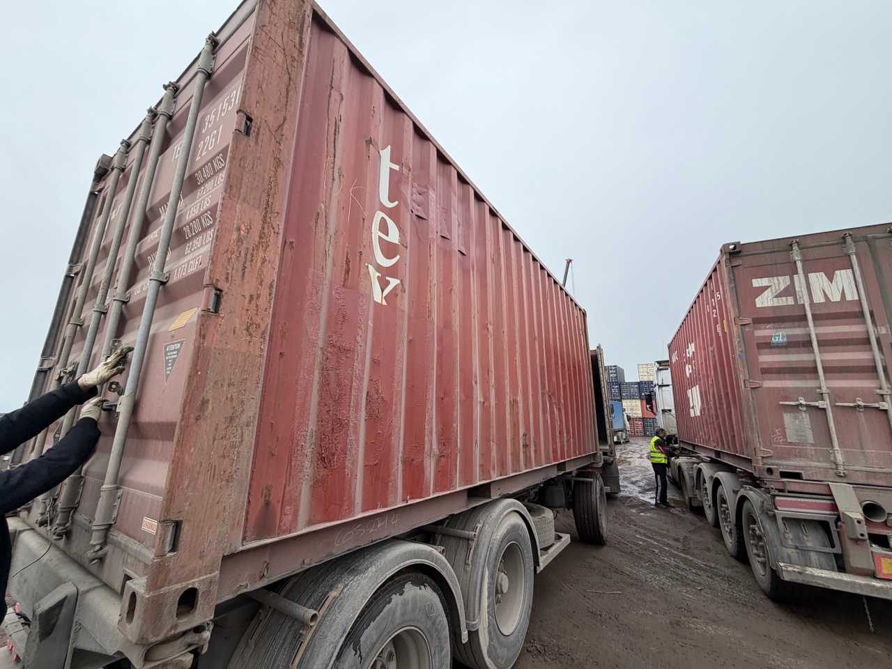 Морской контейнер TEMU2761004