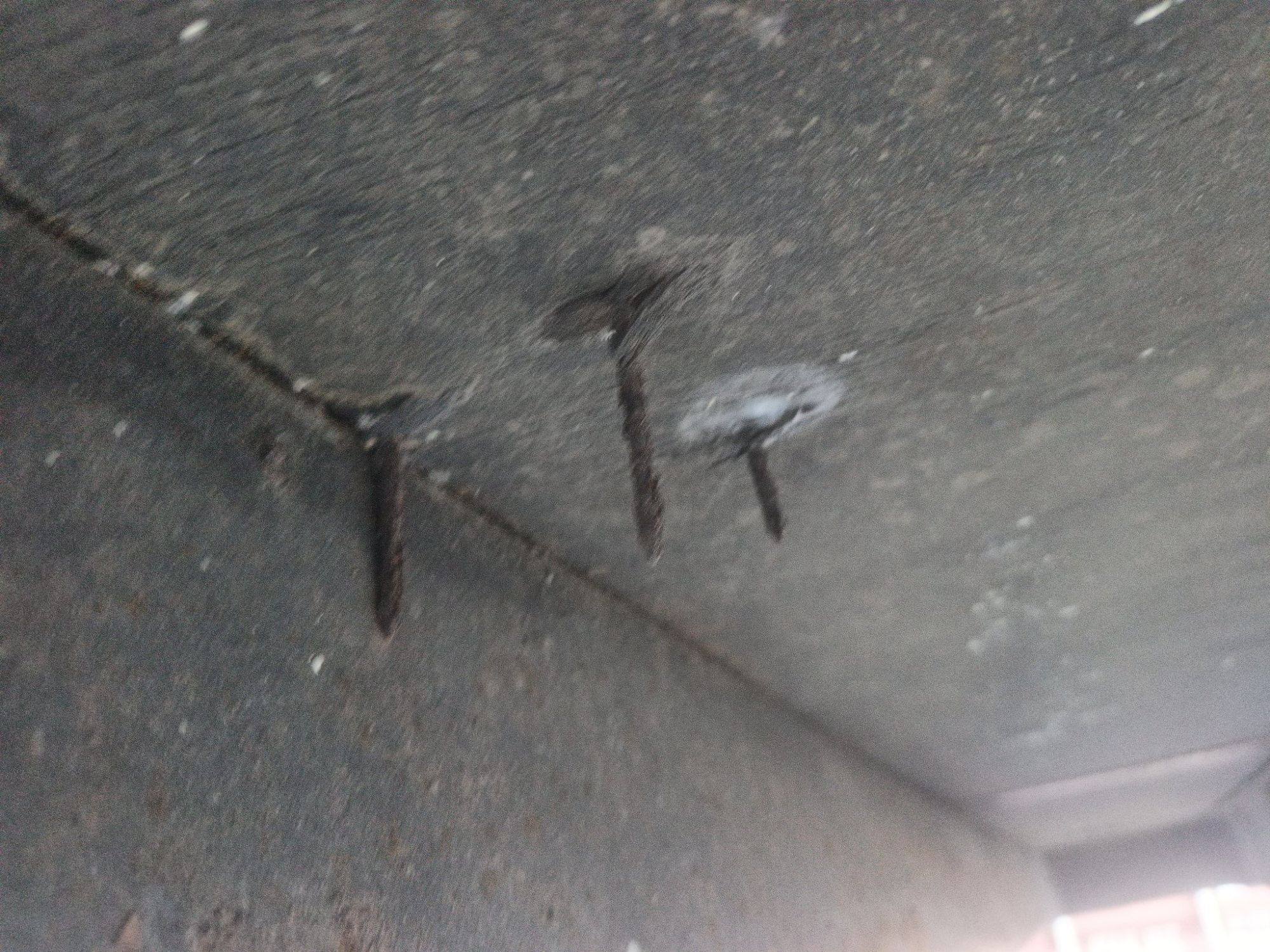 Морской контейнер TEMU2988282