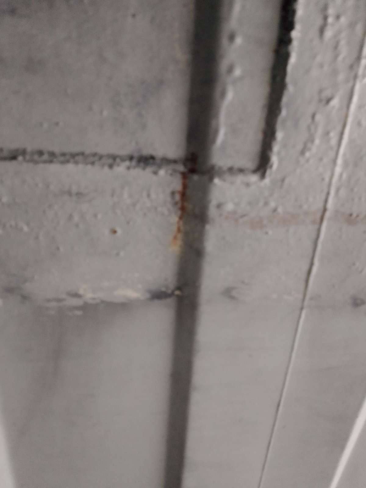 Морской контейнер TEMU2988282