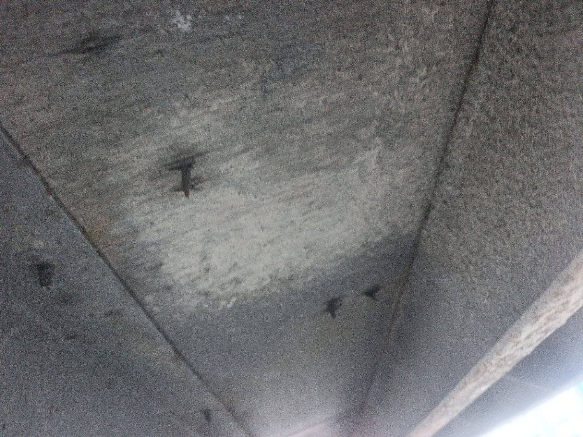 Морской контейнер TEMU2988282