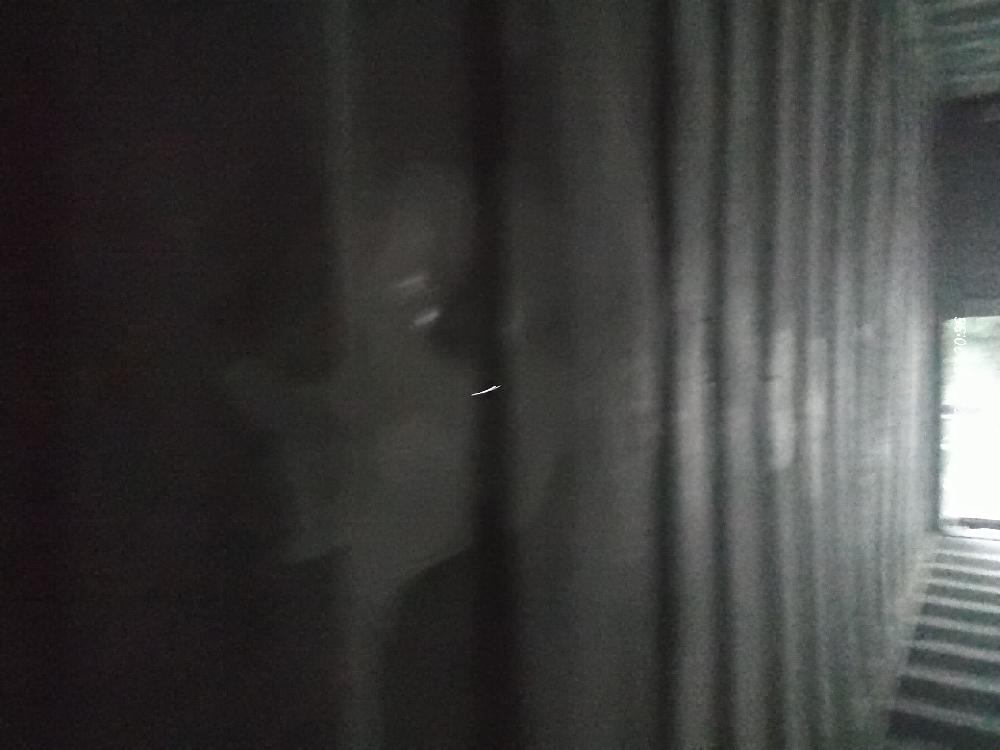 Морской контейнер TEMU3063625