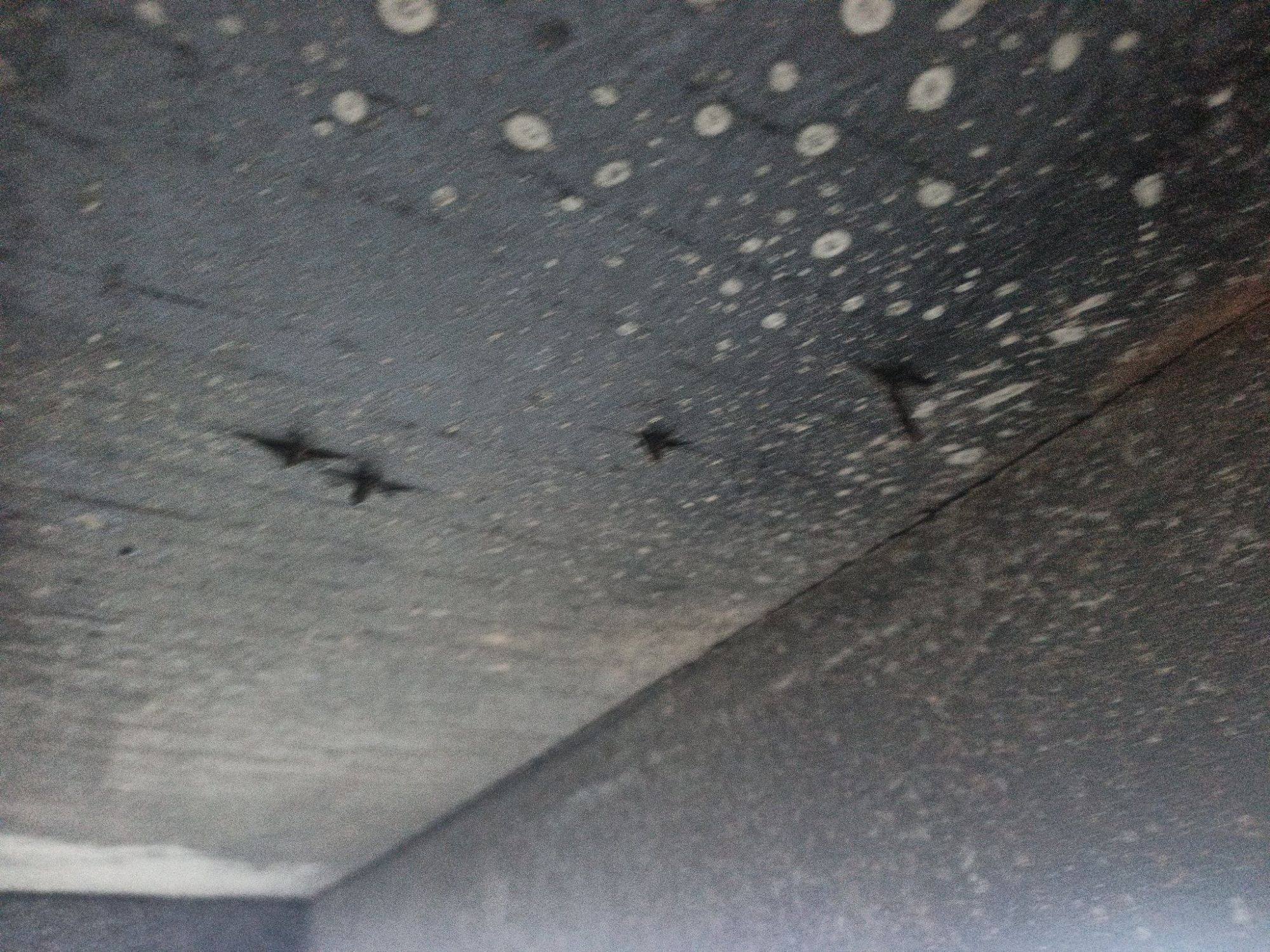 Морской контейнер TEMU3457188