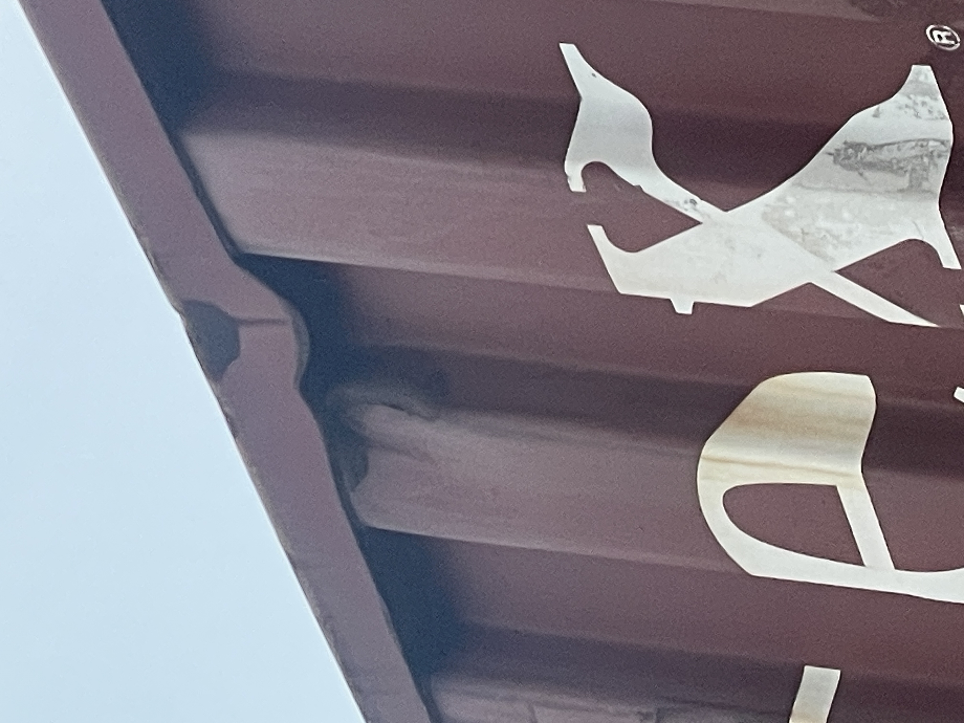 Морской контейнер TEMU3480906