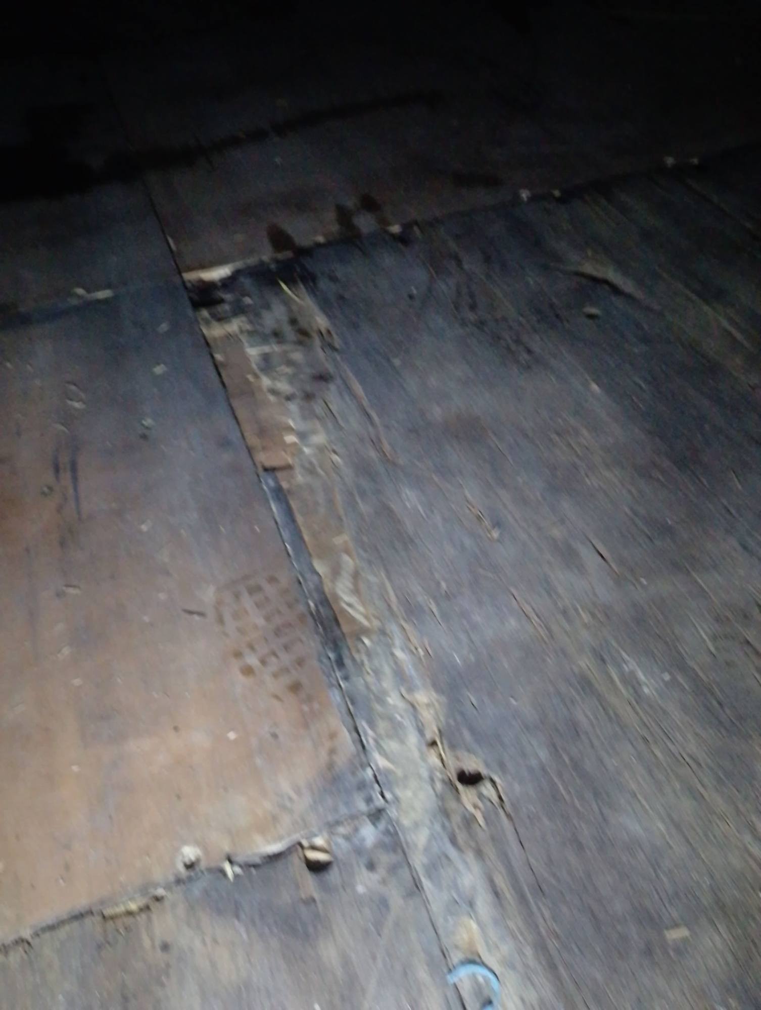 Морской контейнер TEMU4326794