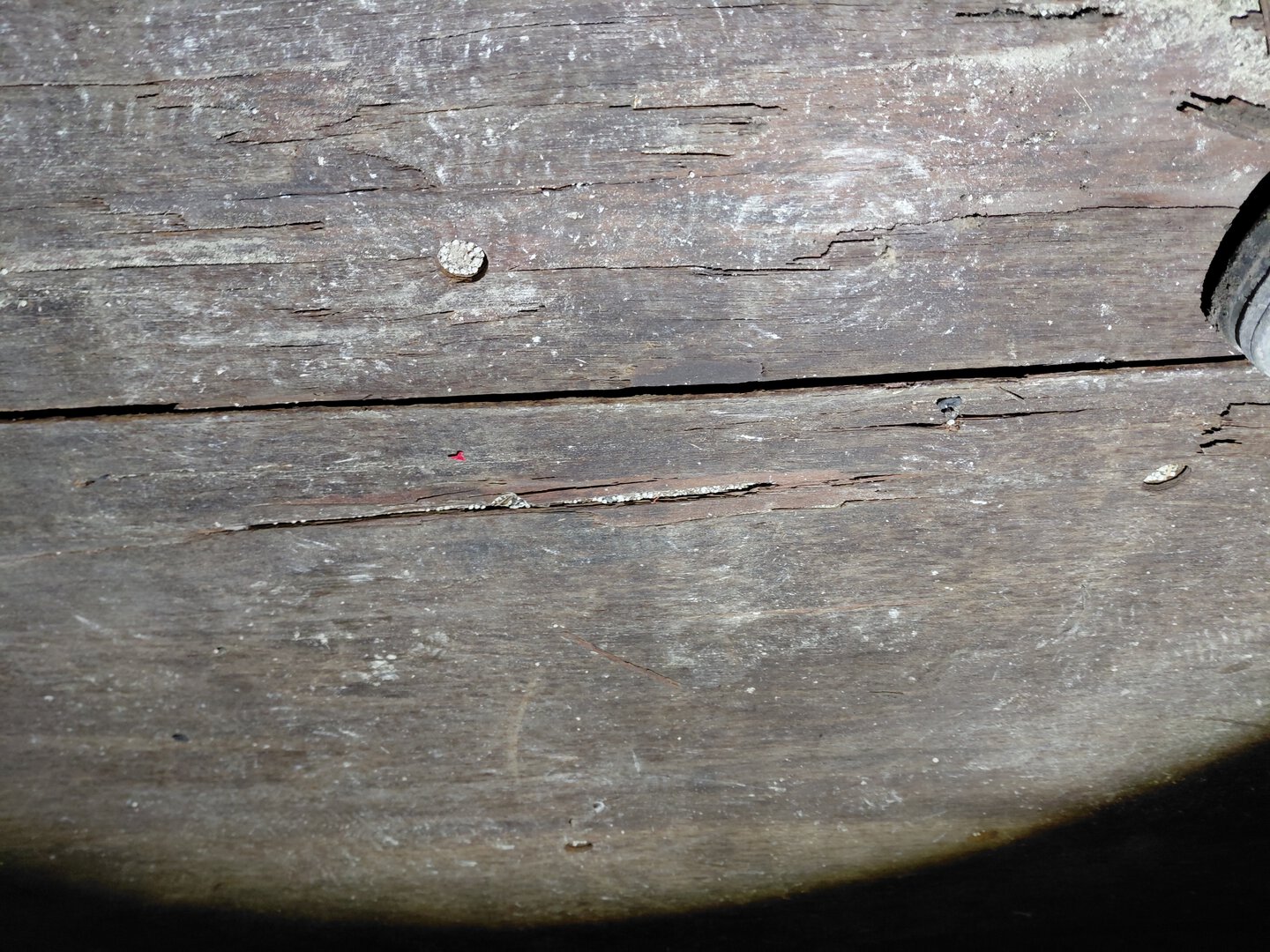 Морской контейнер TEMU4329896