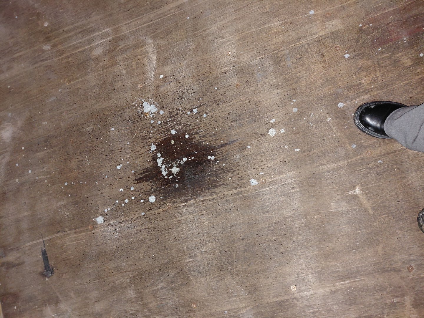 Морской контейнер TEMU4386833