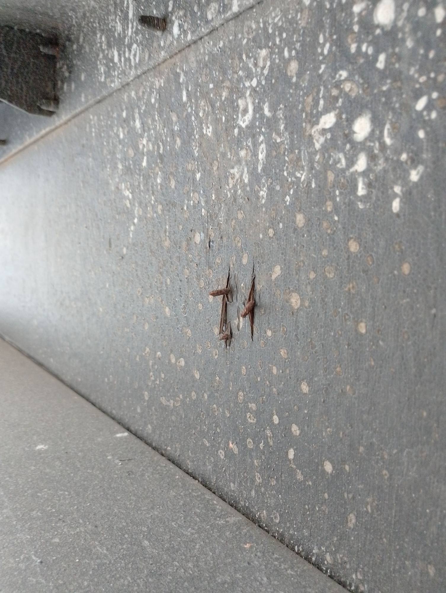 Морской контейнер TEMU4817099