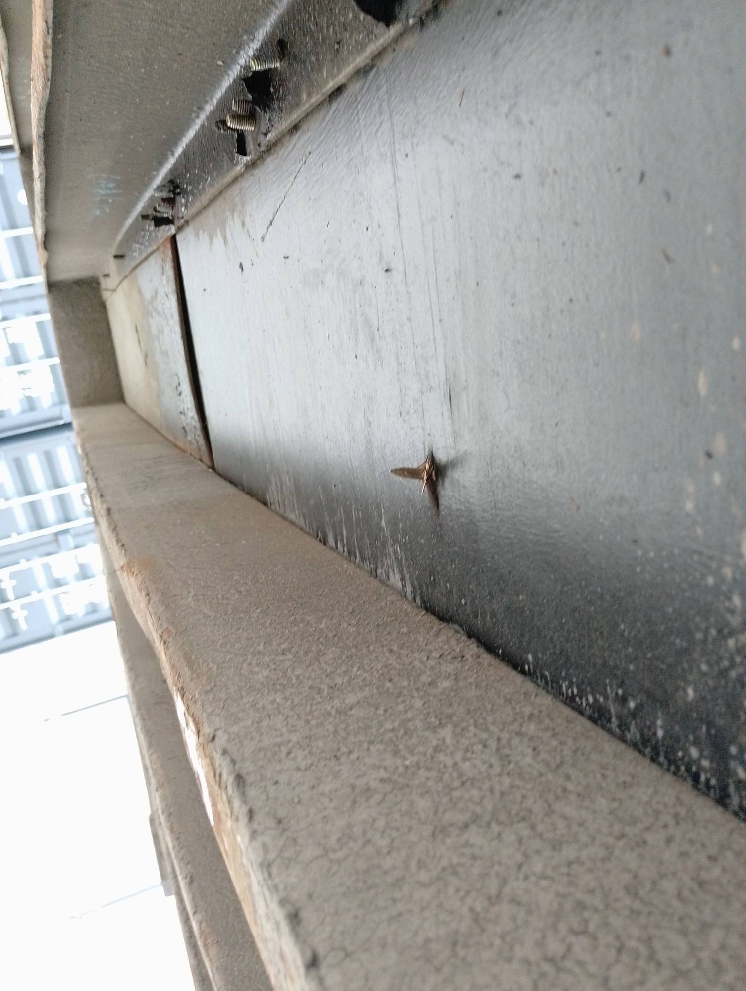 Морской контейнер TEMU4817099