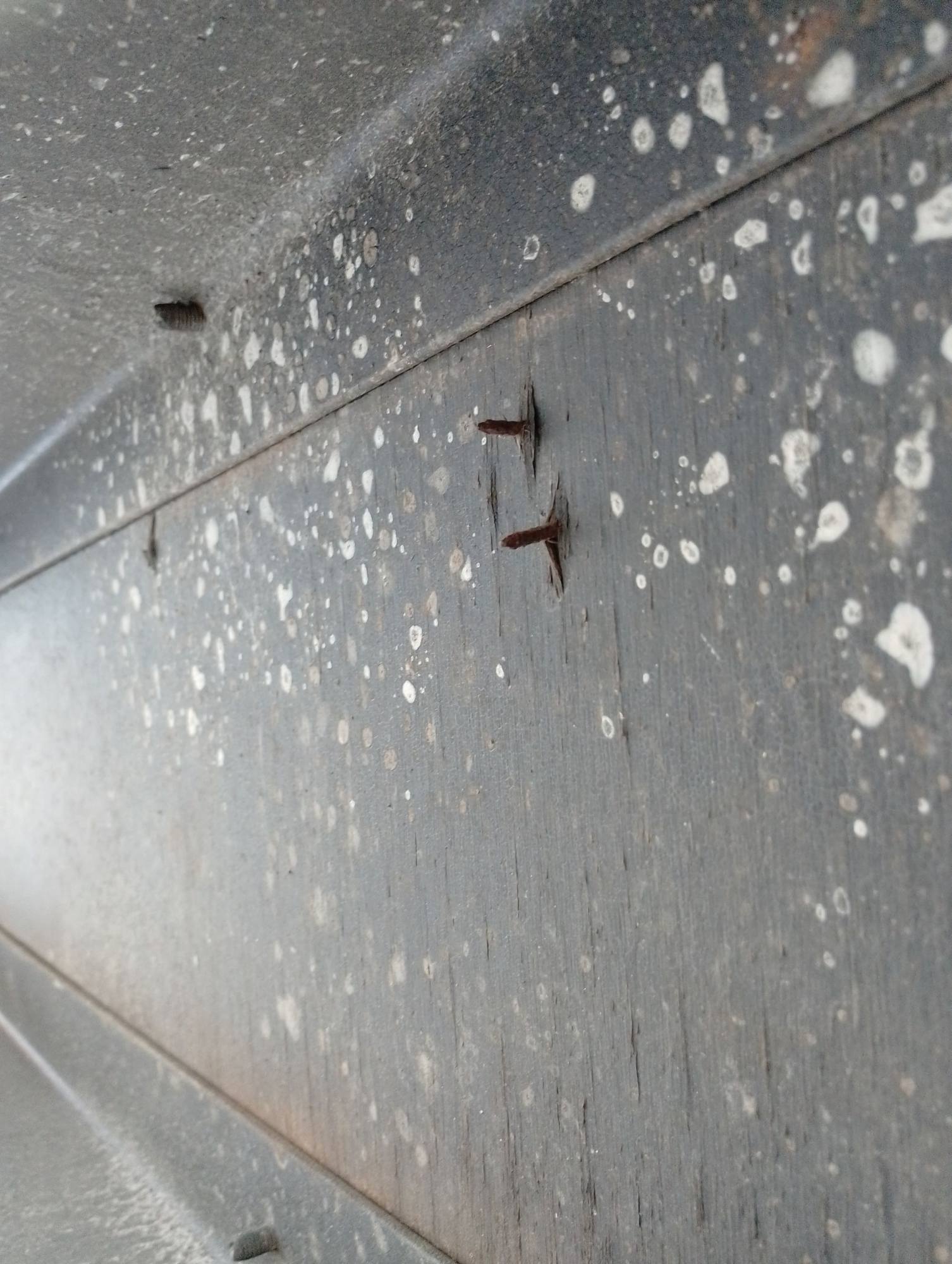 Морской контейнер TEMU4817099