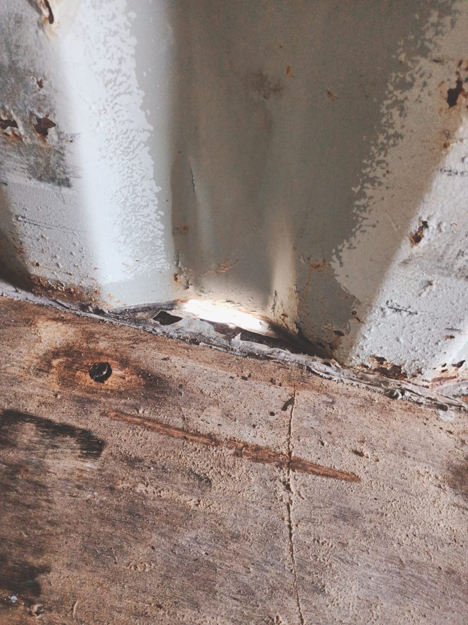 Морской контейнер TEMU5761353