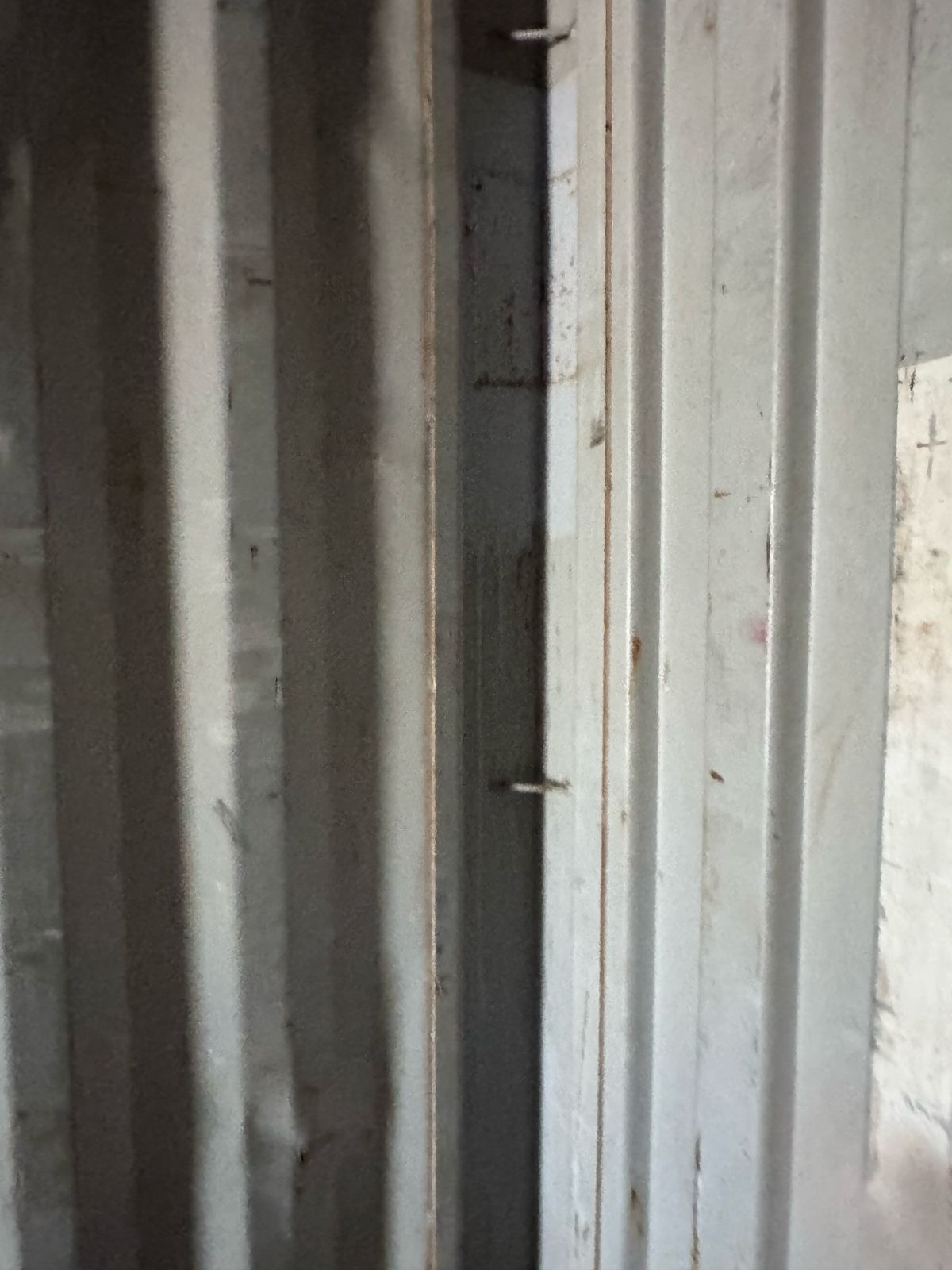 Морской контейнер TEXU5581381