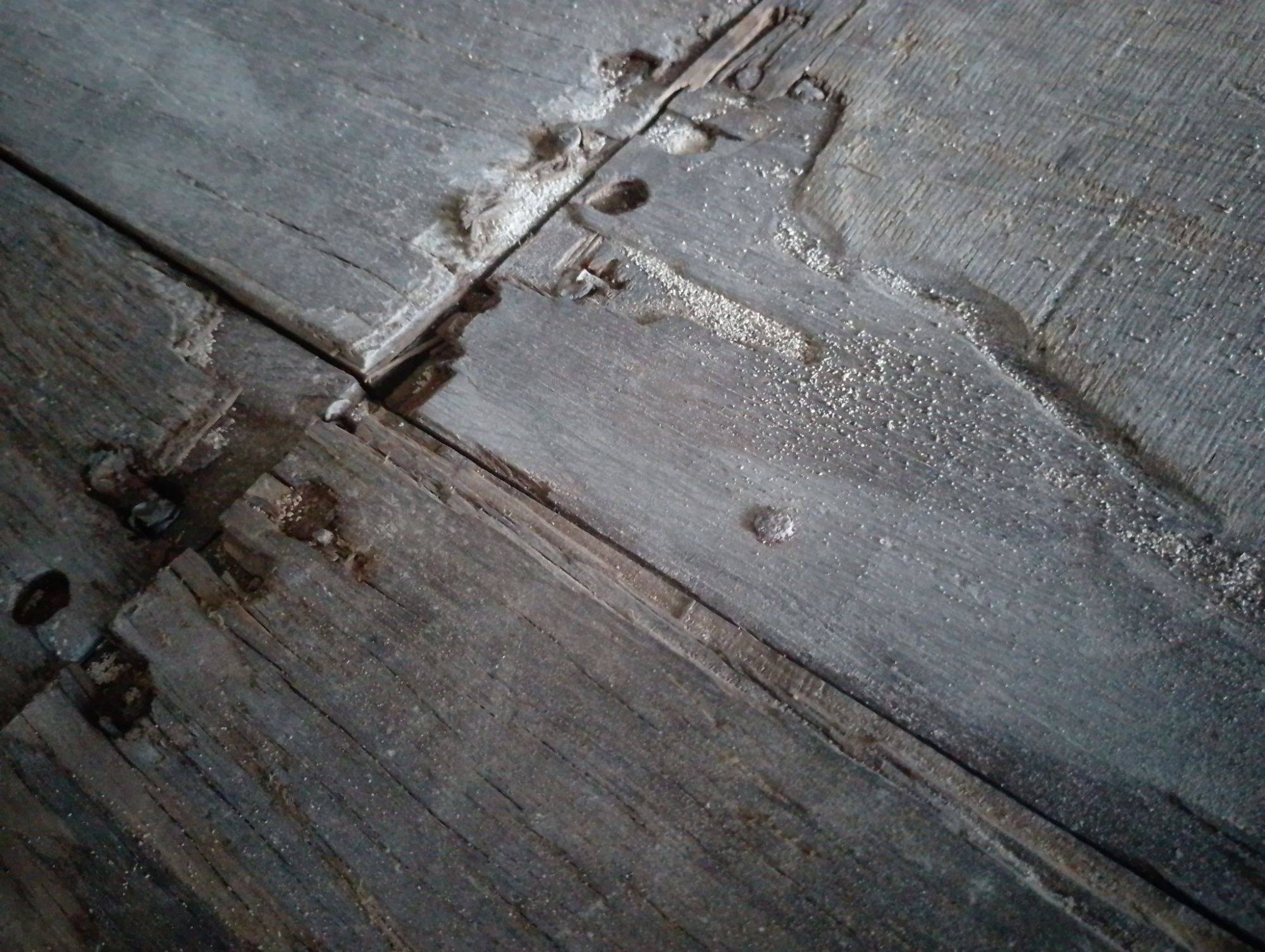 Морской контейнер TGHU1724266