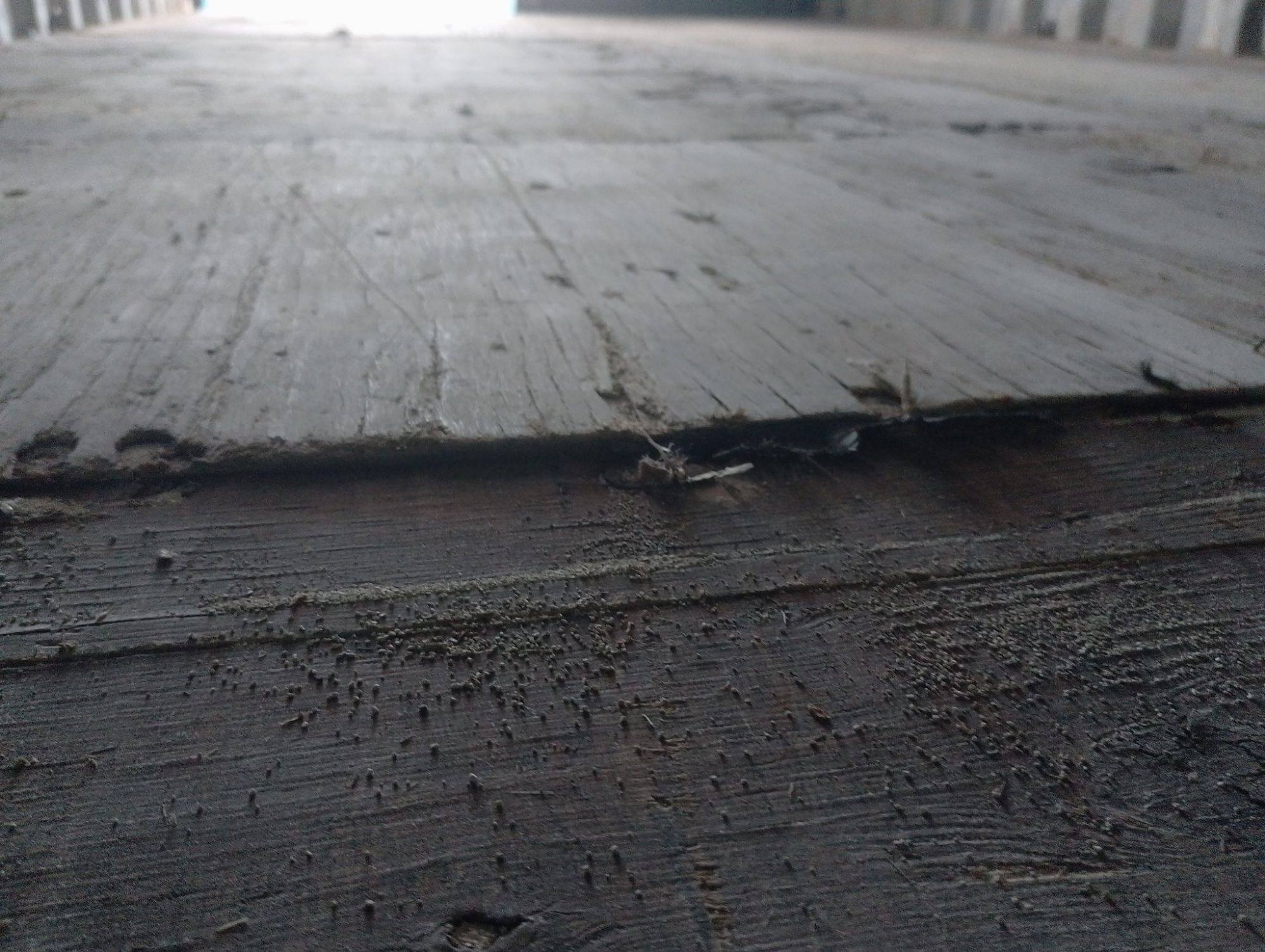 Морской контейнер TGHU1724266