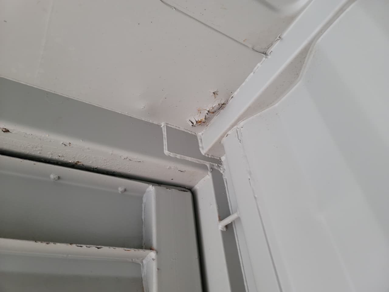 Морской контейнер TGHU1969654