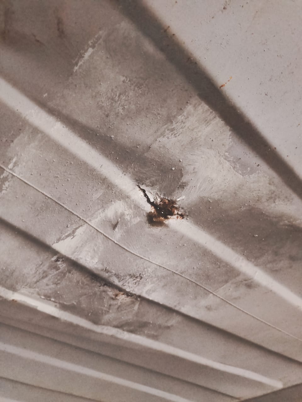 Морской контейнер TGHU3686078