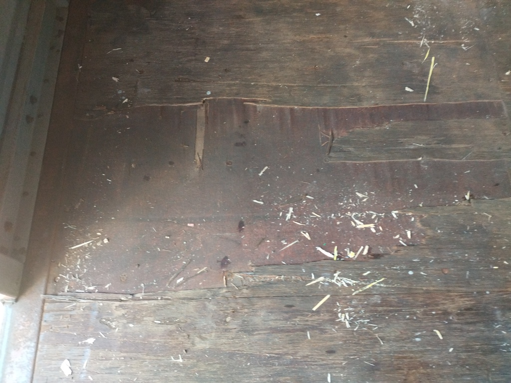 Морской контейнер TGHU4981864