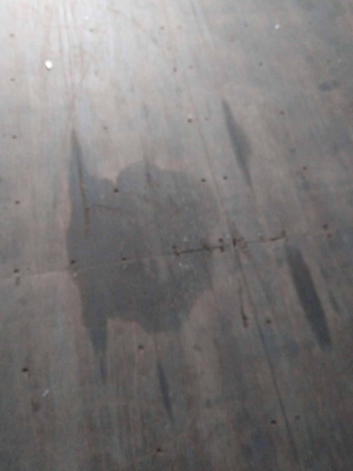 Морской контейнер TGHU8509120