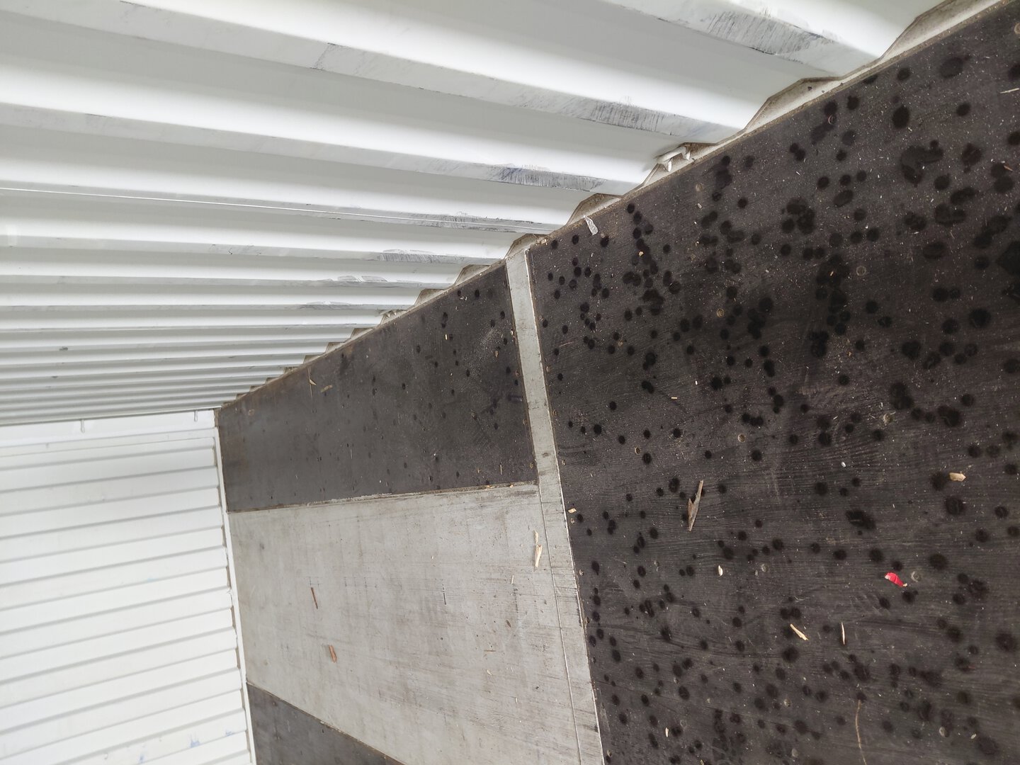 Морской контейнер TLLU8896841