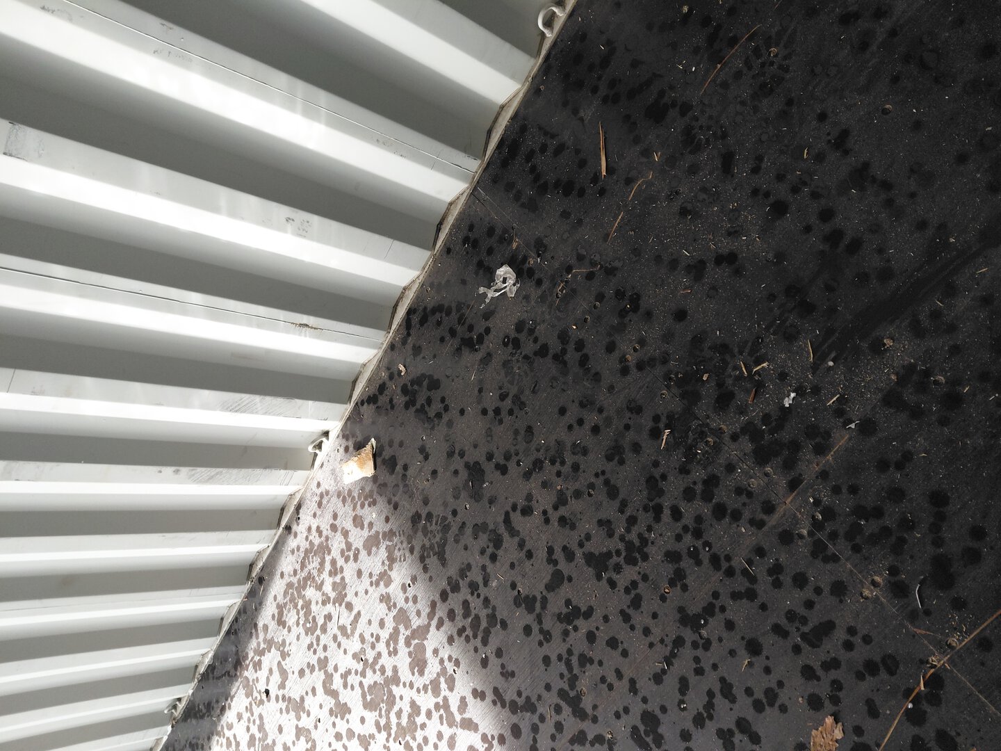 Морской контейнер TLLU8896841