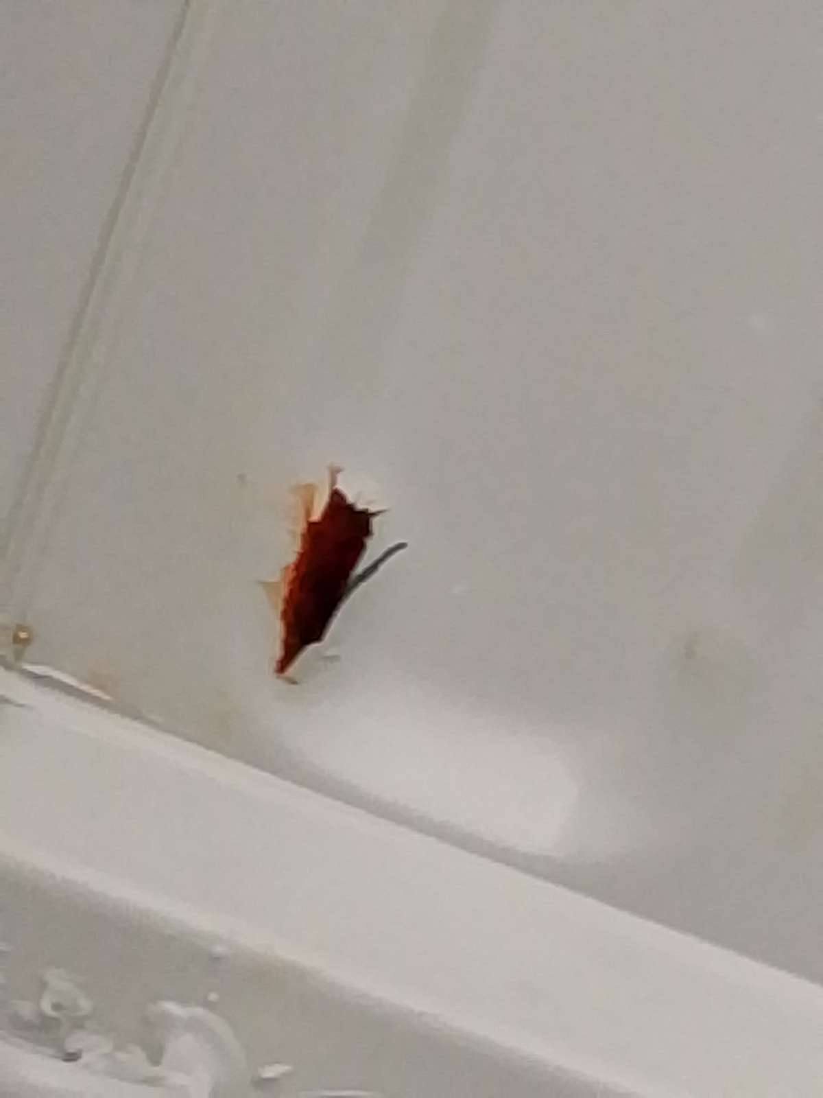 Морской контейнер TRHU8797733