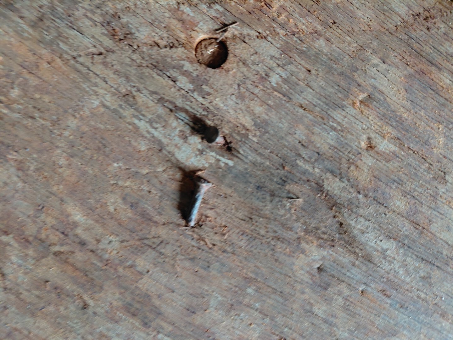 Морской контейнер TRLU3964327