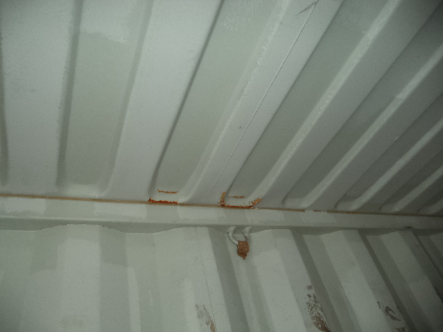 Морской контейнер TRLU4824968