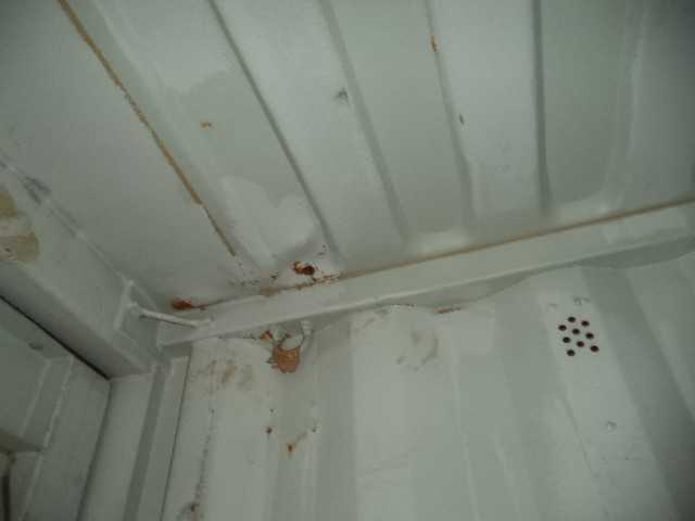 Морской контейнер TRLU4824968