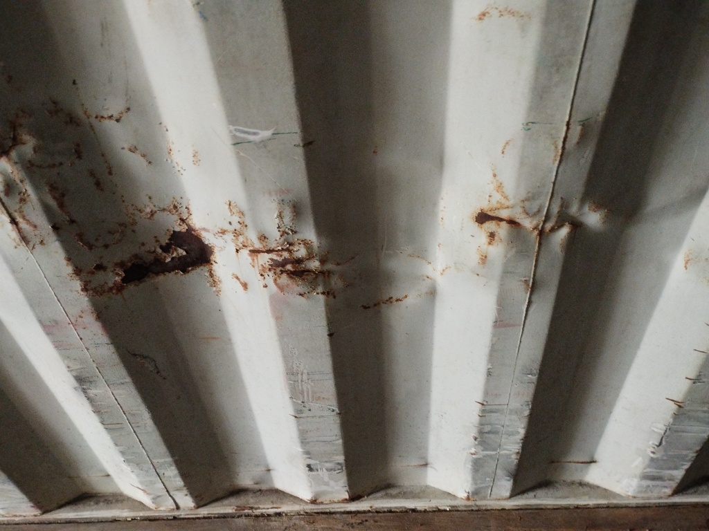 Морской контейнер TRLU4866069