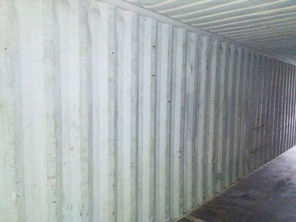 Морской контейнер TRLU4866069