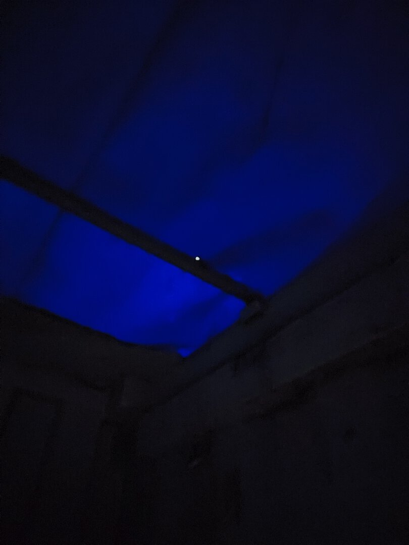 Морской контейнер TRLU6509667