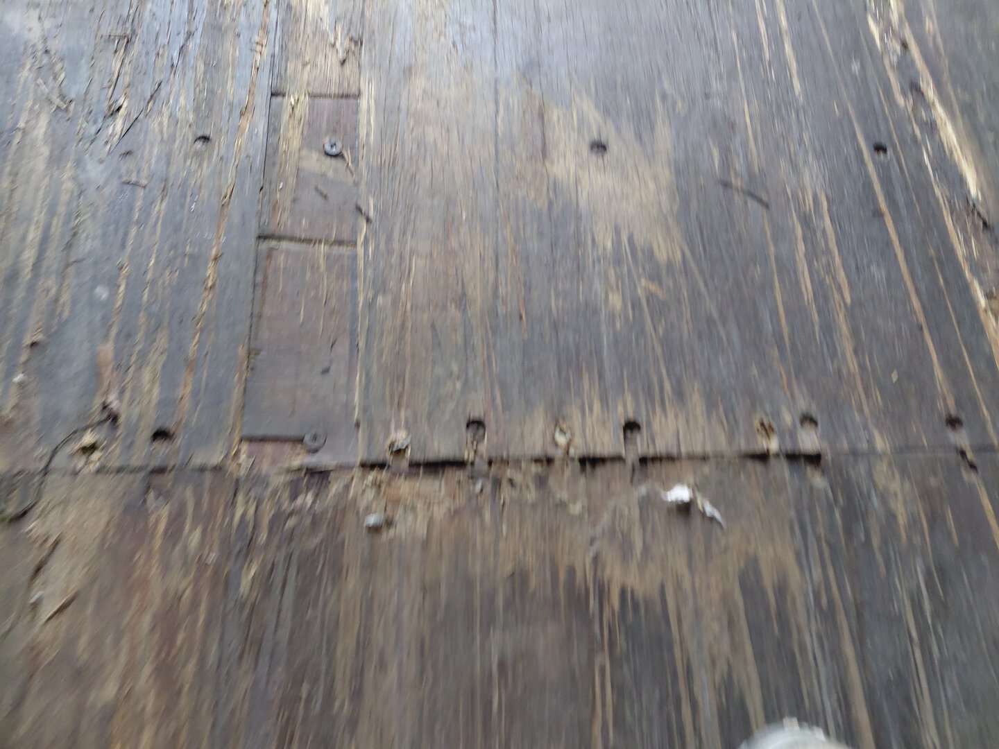 Морской контейнер TRLU7636291