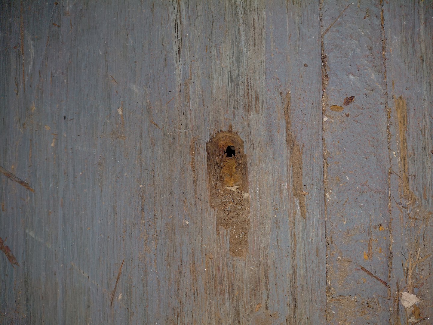 Морской контейнер TRLU8910874