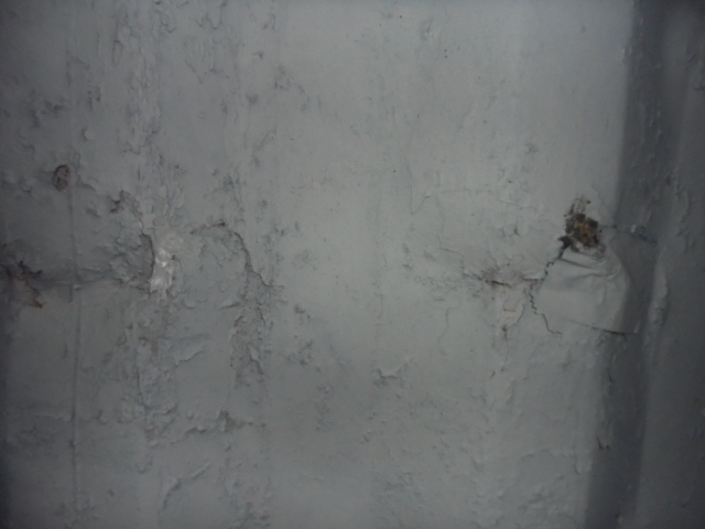 Морской контейнер TSKU2399118