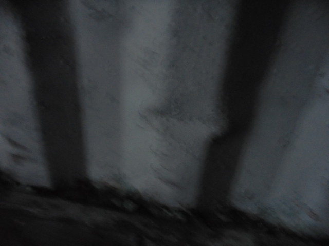 Морской контейнер TSKU2399118