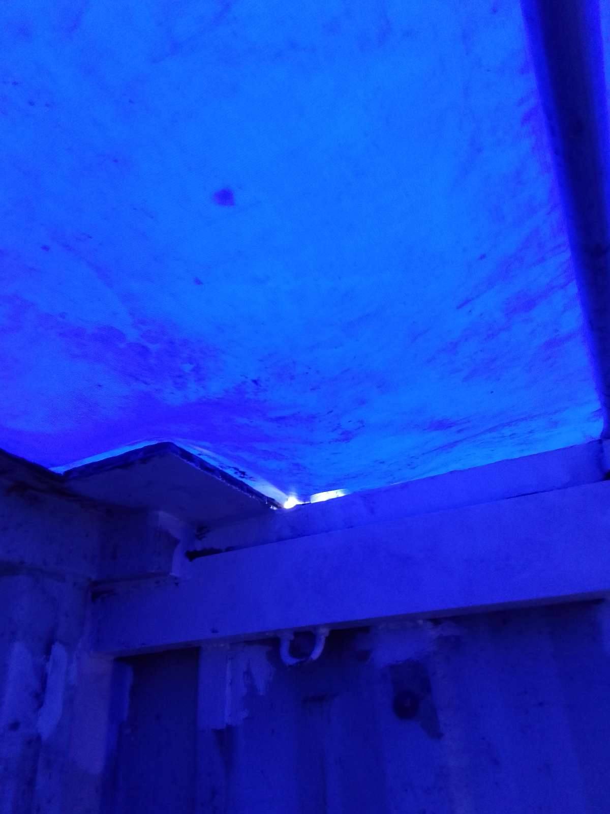 Морской контейнер TTNU5035040