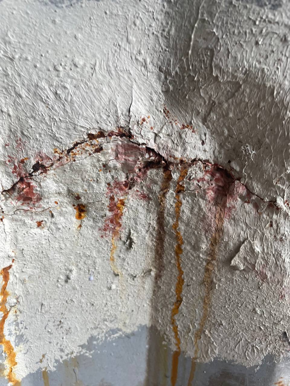 Морской контейнер TTNU9557567