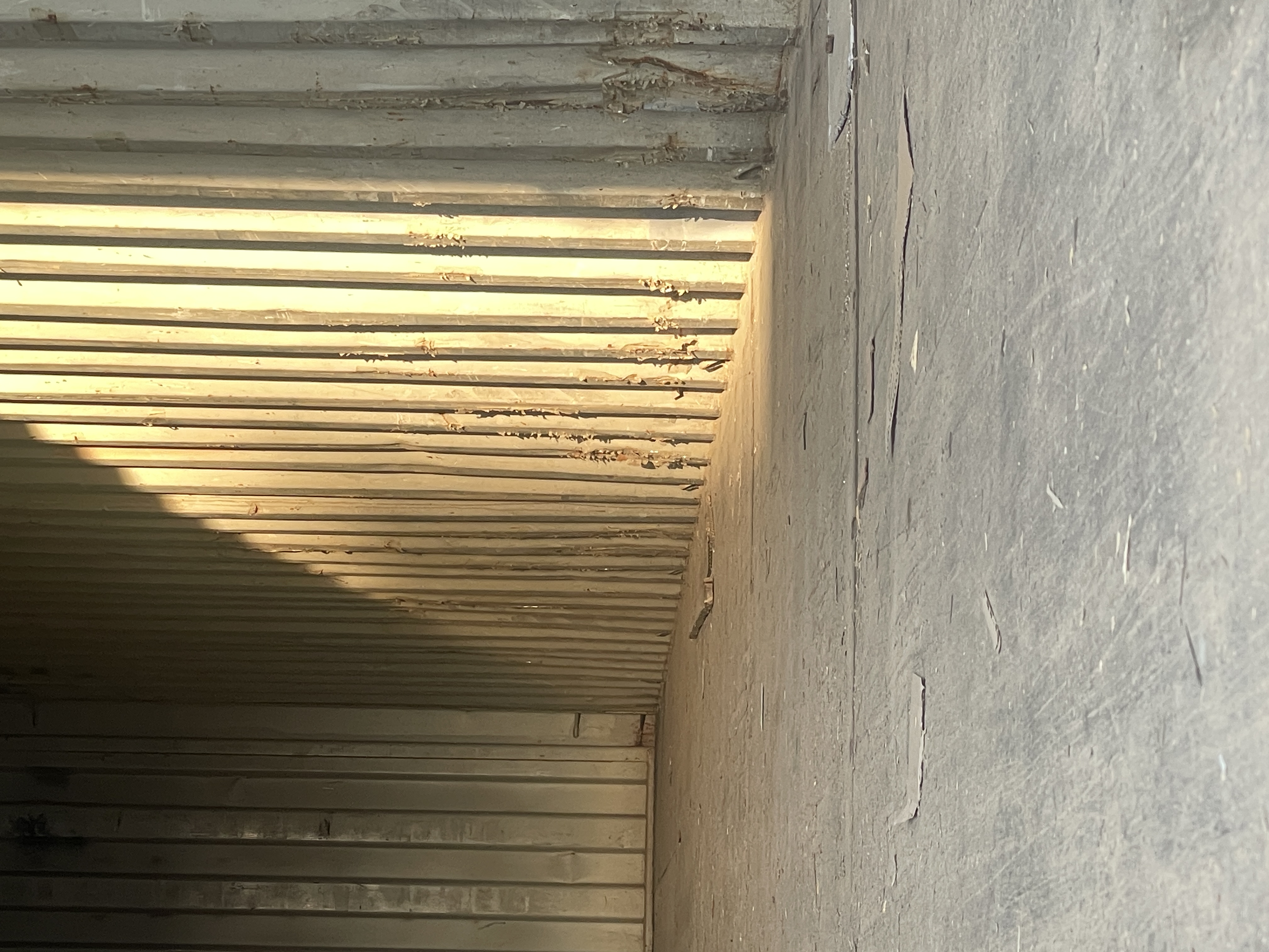 Морской контейнер TTNU9581202