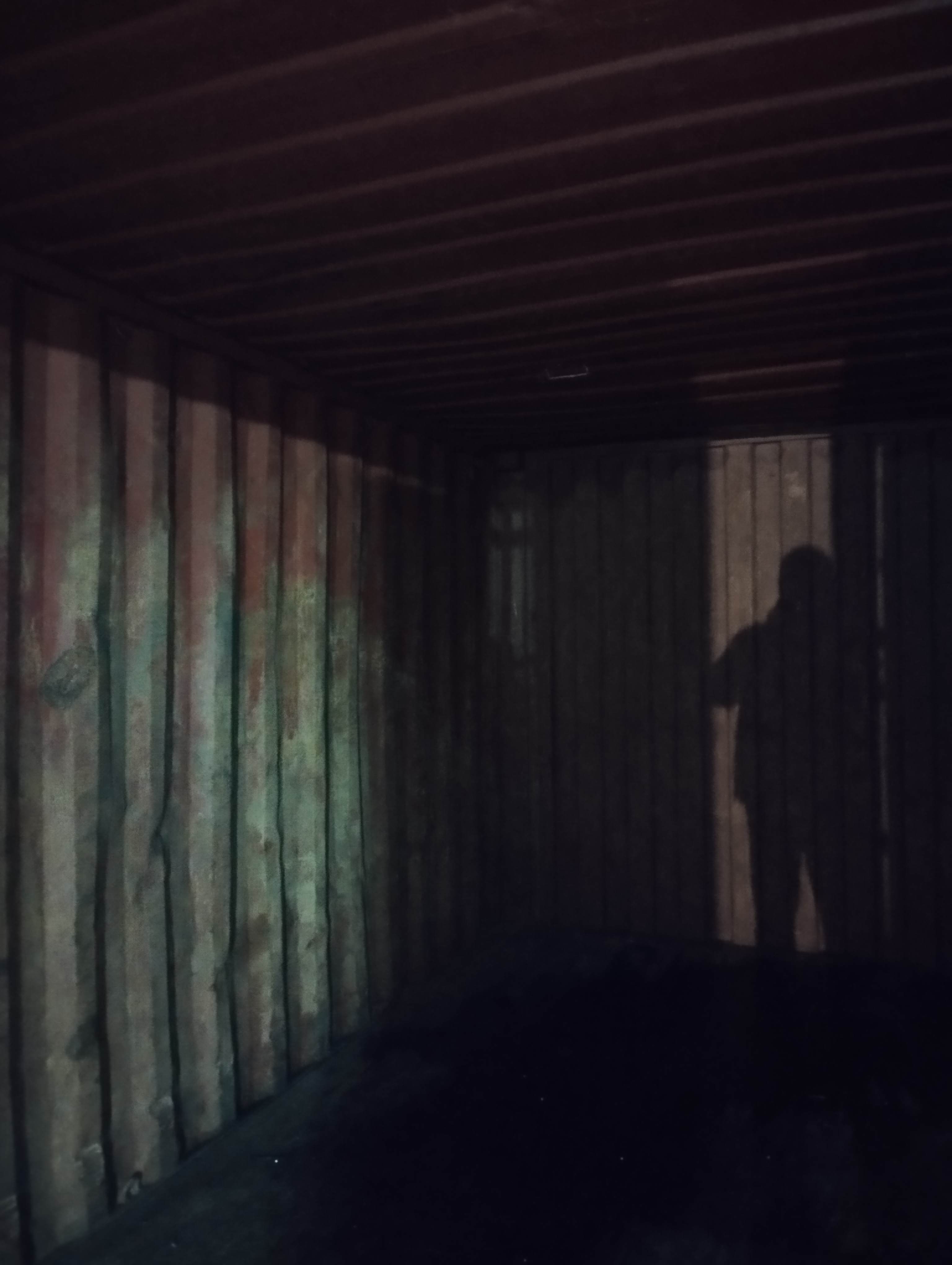 Морской контейнер WSCU6000004