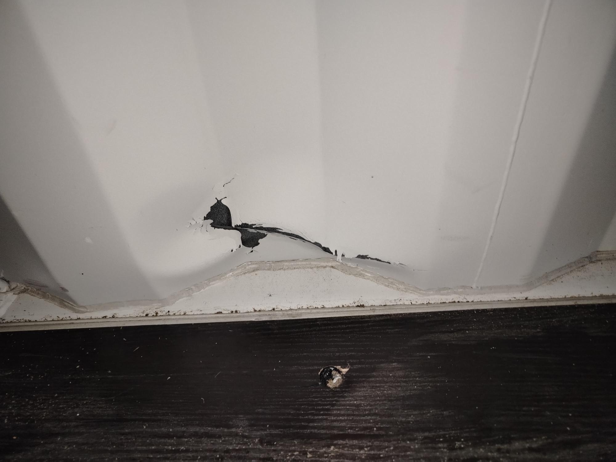 Морской контейнер XHCU2787919