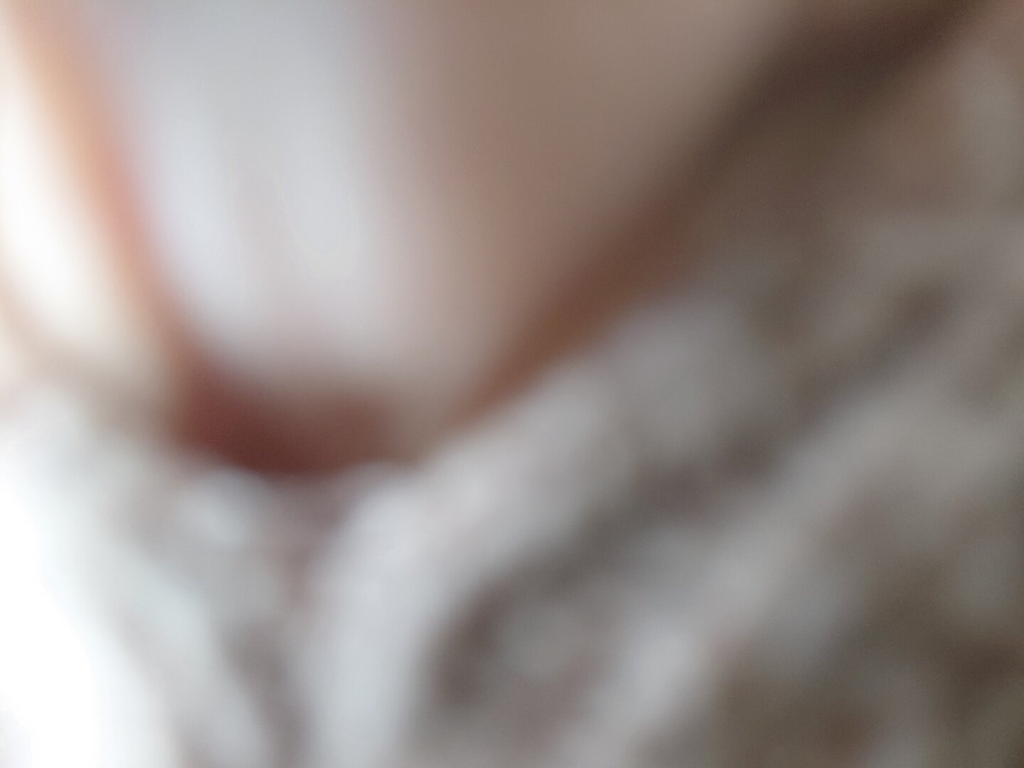 Морской контейнер XHCU2845635