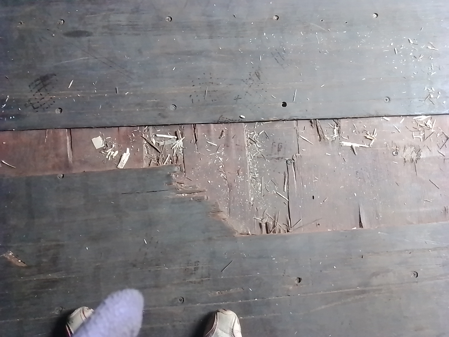 Морской контейнер XINU4039193