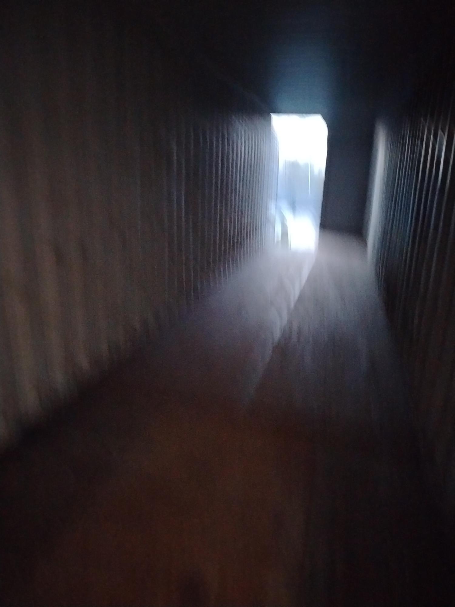 Морской контейнер XINU8019338