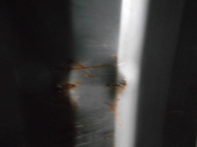 Морской контейнер ZGLU8064148