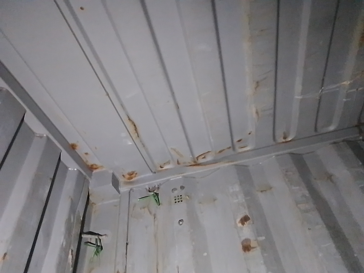 Морской контейнер ZGXU6137155