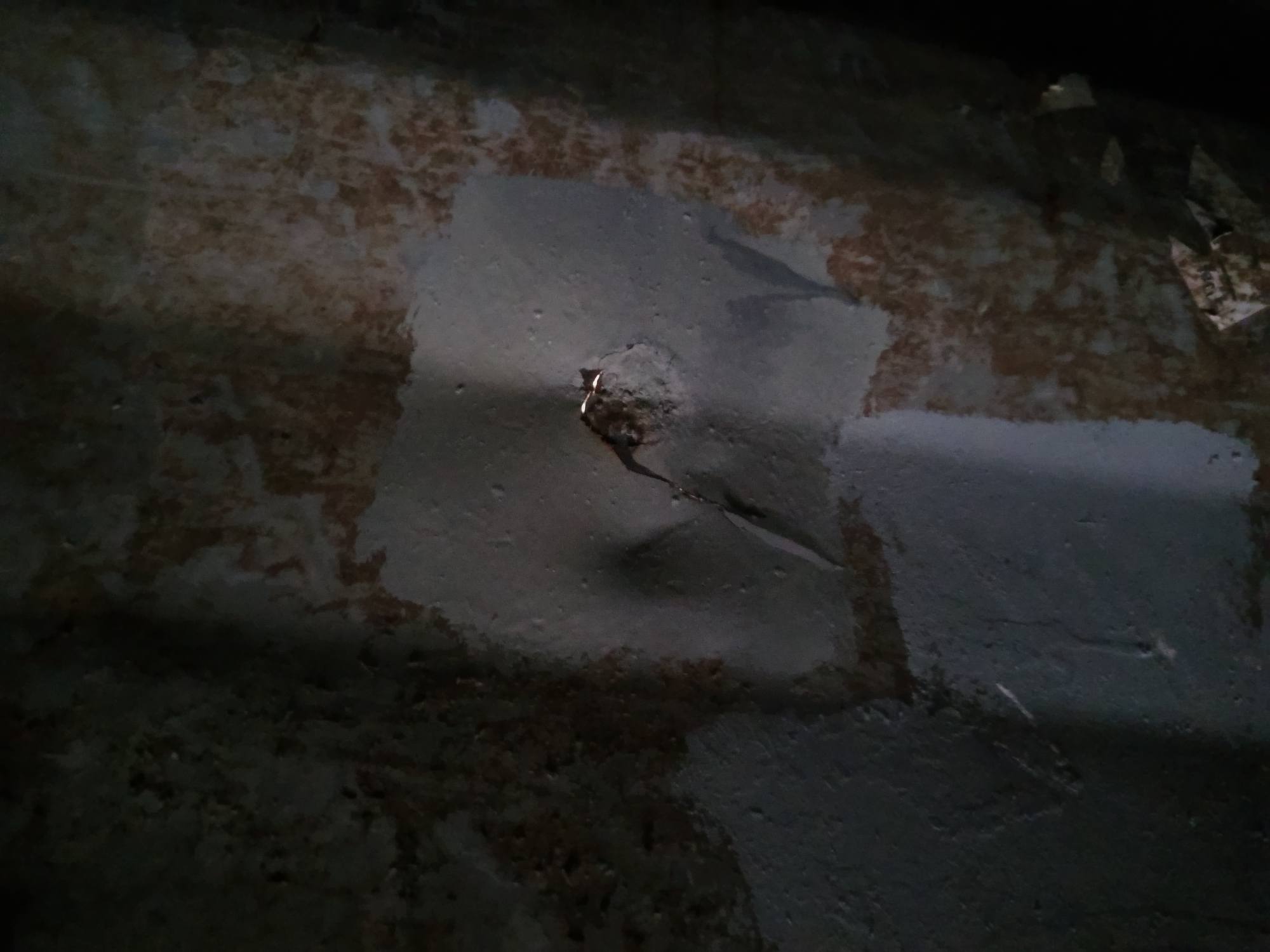 Морской контейнер ZGXU6147981